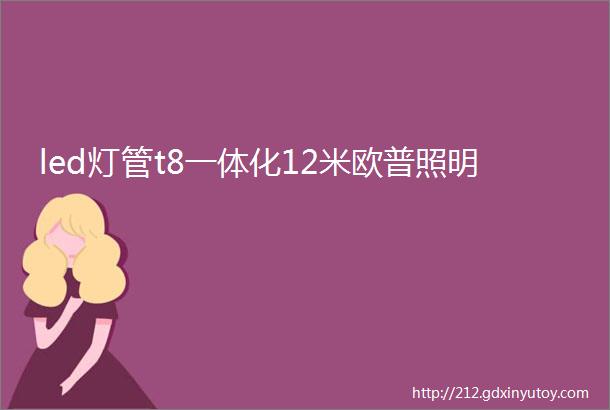 led灯管t8一体化12米欧普照明