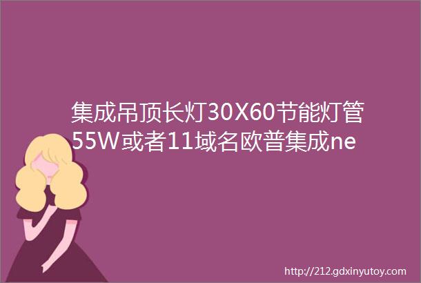 集成吊顶长灯30X60节能灯管55W或者11域名欧普集成net樱花