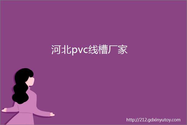 河北pvc线槽厂家