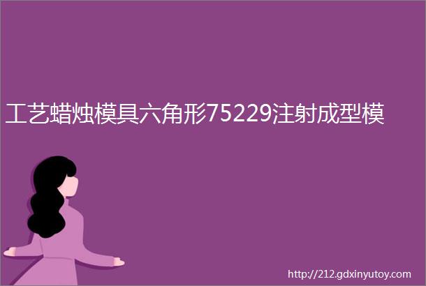 工艺蜡烛模具六角形75229注射成型模