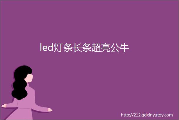 led灯条长条超亮公牛