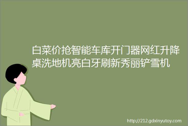 白菜价抢智能车库开门器网红升降桌洗地机亮白牙刷新秀丽铲雪机