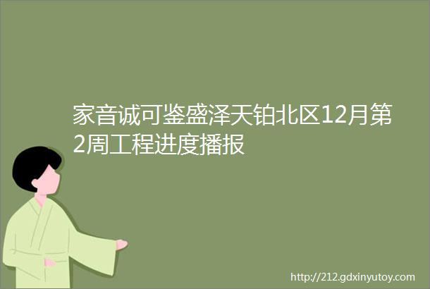 家音诚可鉴盛泽天铂北区12月第2周工程进度播报