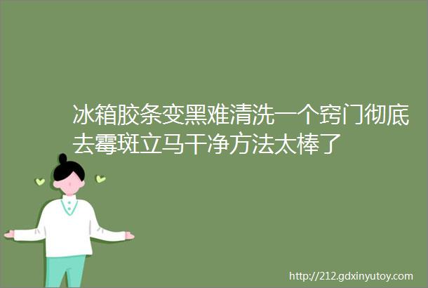 冰箱胶条变黑难清洗一个窍门彻底去霉斑立马干净方法太棒了