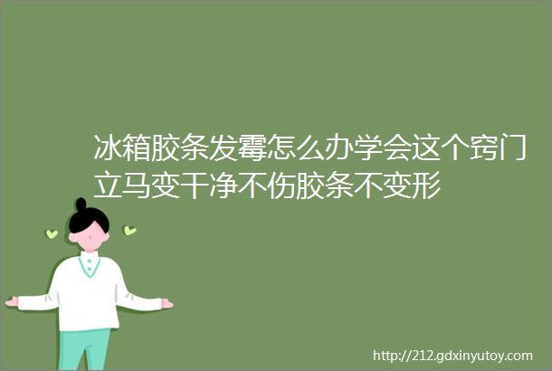 冰箱胶条发霉怎么办学会这个窍门立马变干净不伤胶条不变形