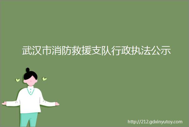 武汉市消防救援支队行政执法公示