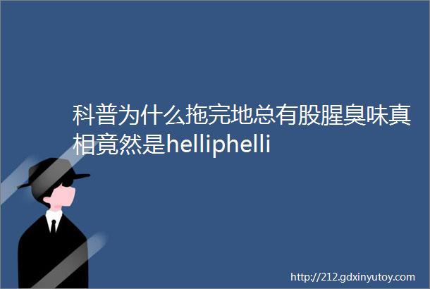 科普为什么拖完地总有股腥臭味真相竟然是helliphellip