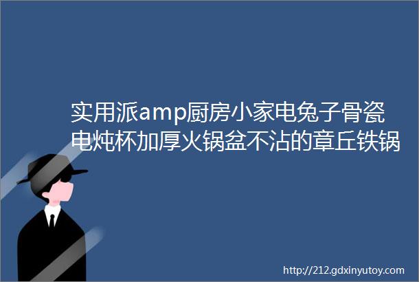 实用派amp厨房小家电兔子骨瓷电炖杯加厚火锅盆不沾的章丘铁锅大功率电磁炉