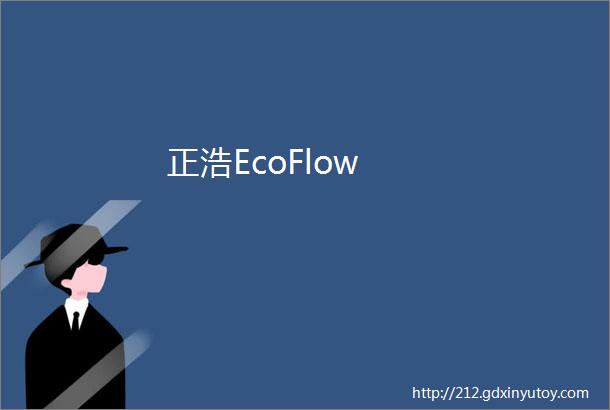 正浩EcoFlow