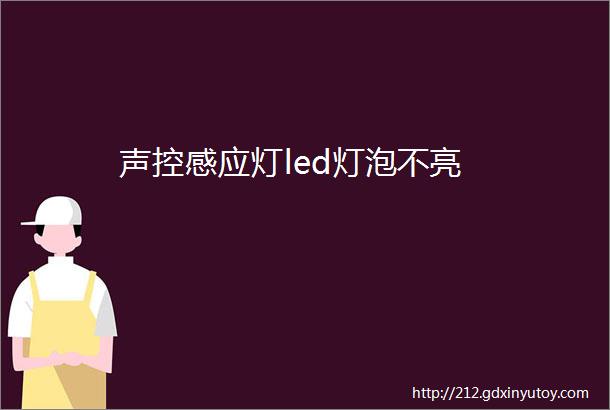 声控感应灯led灯泡不亮