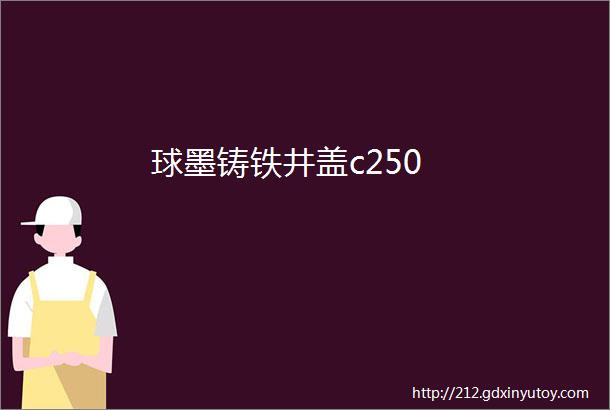 球墨铸铁井盖c250