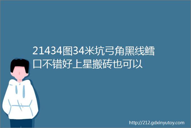 21434图34米坑弓角黑线鳕口不错好上星搬砖也可以