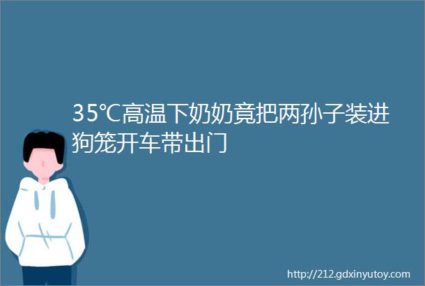 35℃高温下奶奶竟把两孙子装进狗笼开车带出门