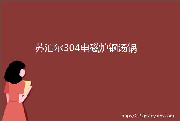 苏泊尔304电磁炉钢汤锅