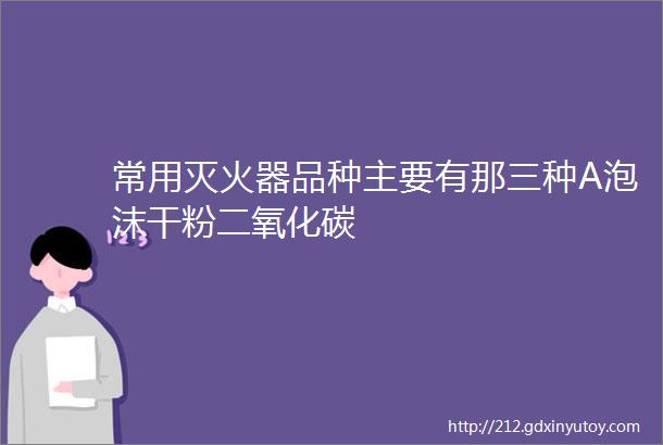 常用灭火器品种主要有那三种A泡沫干粉二氧化碳