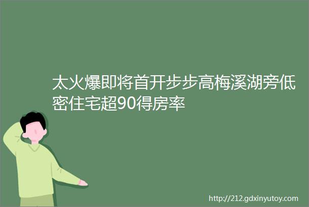 太火爆即将首开步步高梅溪湖旁低密住宅超90得房率