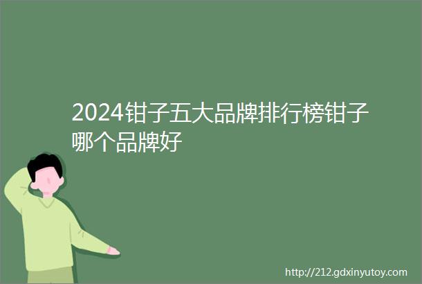 2024钳子五大品牌排行榜钳子哪个品牌好