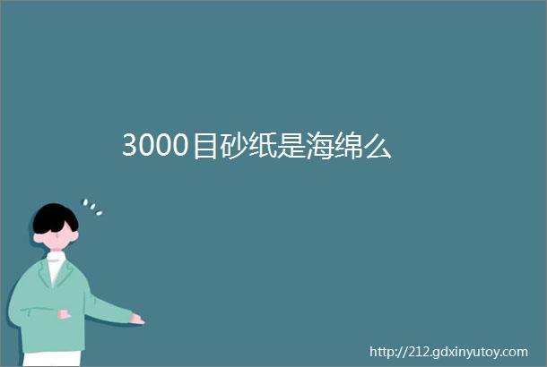 3000目砂纸是海绵么